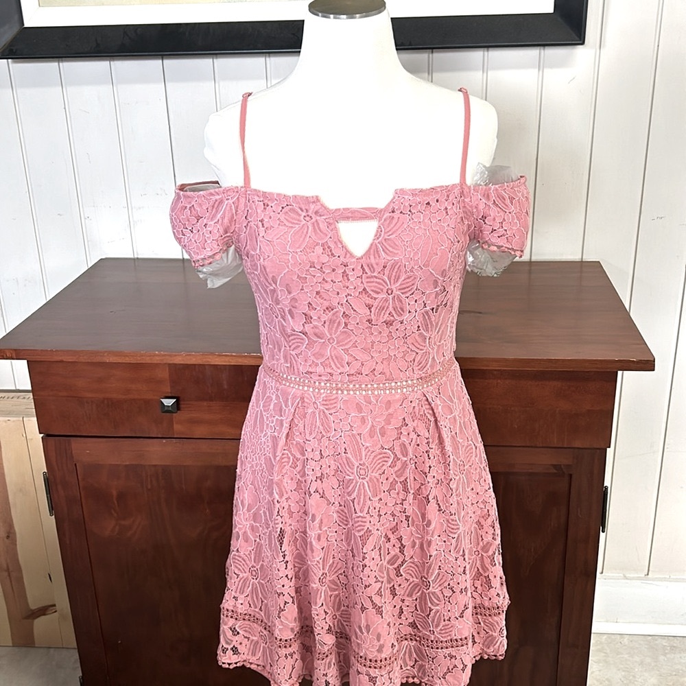 Francescas Lace Dress - NWT